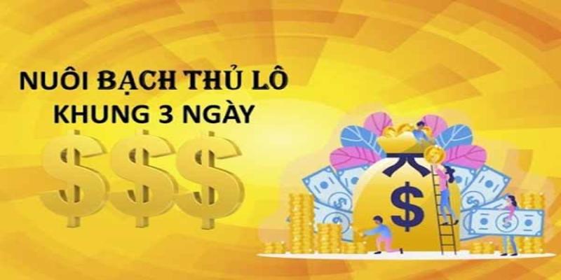 Bạch Thủ Lô Khung 3 Ngày Được Nhiều Người Chơi Yêu Thích