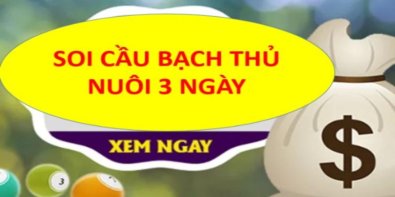 Cách Soi Cầu Bạch Thủ Lô Khung 3 Ngày Hình Quả Trám