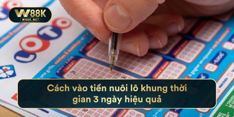 Cách Vào Tiền Nuôi Lô Khung Thời Gian 3 Ngày Hiệu Quả